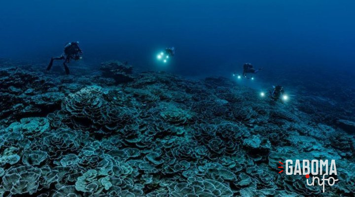 Décolonisation&nbsp;: l’histoire inachevée des derniers peuples sous tutelle