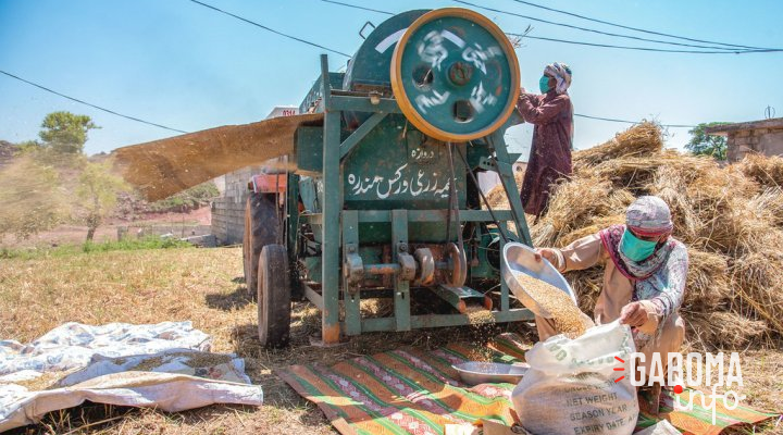 Guerre en Ukraine : La fin de l’accord céréalier de la mer Noire déclenche une hausse des prix des denrées alimentaires