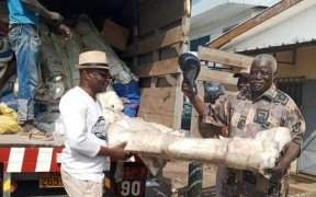 Un coup de poing dans l’avenir de la boxe gabonaise : Réception de nouveaux rings à la Fegaboxe