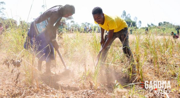 Afrique australe : des millions de personnes menacées par la faim alors que la période de soudure démarre