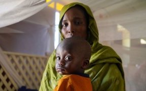 Soudan : Un cessez-le-feu pourrait ouvrir la voie à des pourparlers de paix