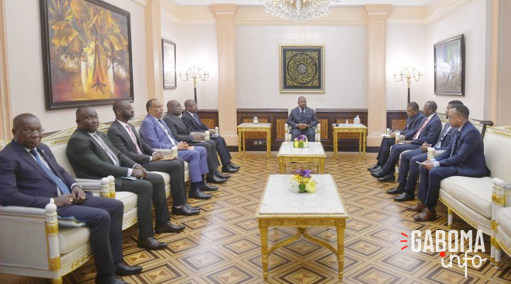 Piaepal : Alain Claude Bilie-By-Nze et Ali Bongo font le point du programme