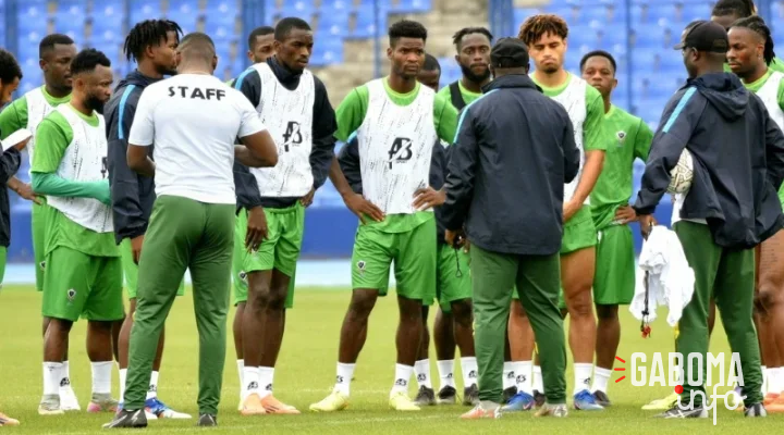 Panthères du Gabon&nbsp;: La FEGAFOOT promet un sélectionneur mi-juillet, les premiers candidats dans le flou