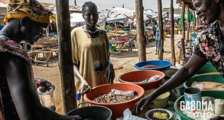 Soudan du Sud : l’ONU appelle à investir davantage pour éviter une crise alimentaire