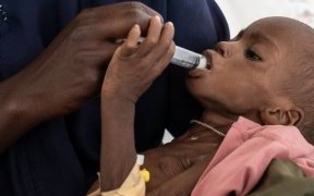 La faim dans le monde est concentrée dans seulement dix pays