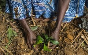 « Nous devons mettre un terme à ces guerres insensées contre la nature »
