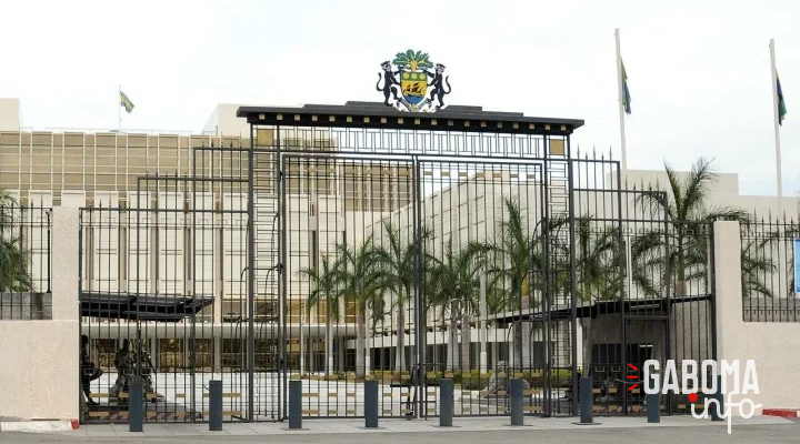 Qu’est ce qui justifierait la précampagne pour la présidentielle, vécue en ce moment au Gabon ?