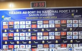 National-Foot 1 & 2 : Les clubs professionnels fixés sur leur poule avant la reprise