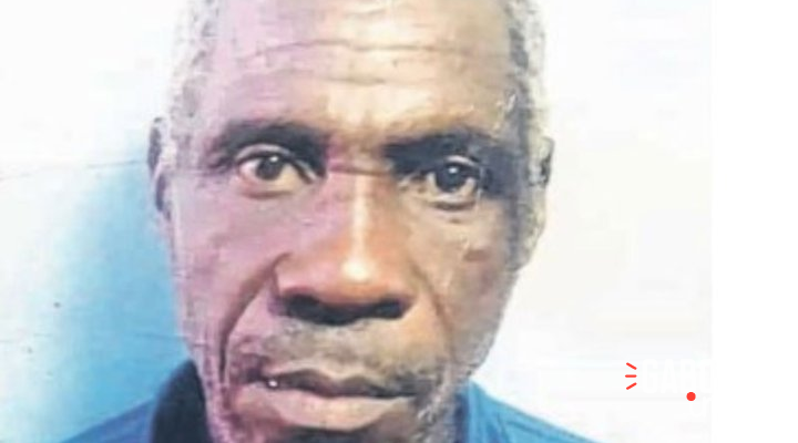 Tchibanga : Un éléphant tue encore un villageois avant de se fondre dans la nature