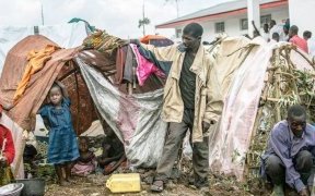 RDC&nbsp;: près de 530 000 personnes déplacées par l’insécurité et les combats au Nord-Kivu