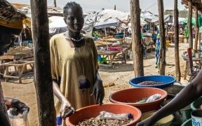 Soudan du Sud : l’ONU appelle à investir davantage pour éviter une crise alimentaire